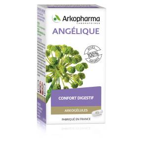 Arkogélules Angélique bte 45