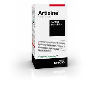 Artixine gelules bte 168