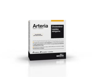 Arteria