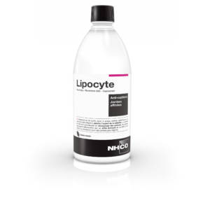 Lipocyte