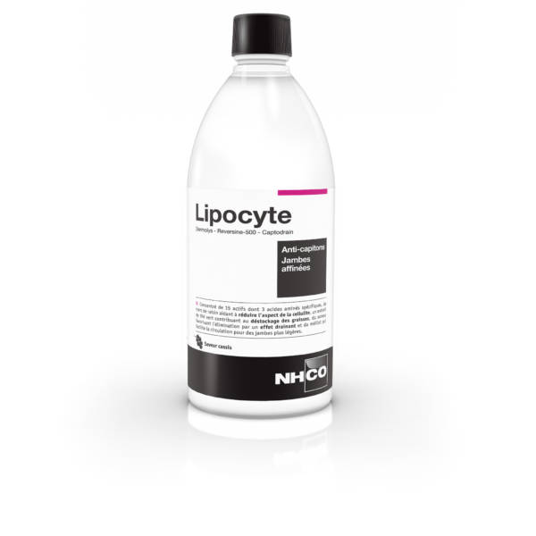 Lipocyte